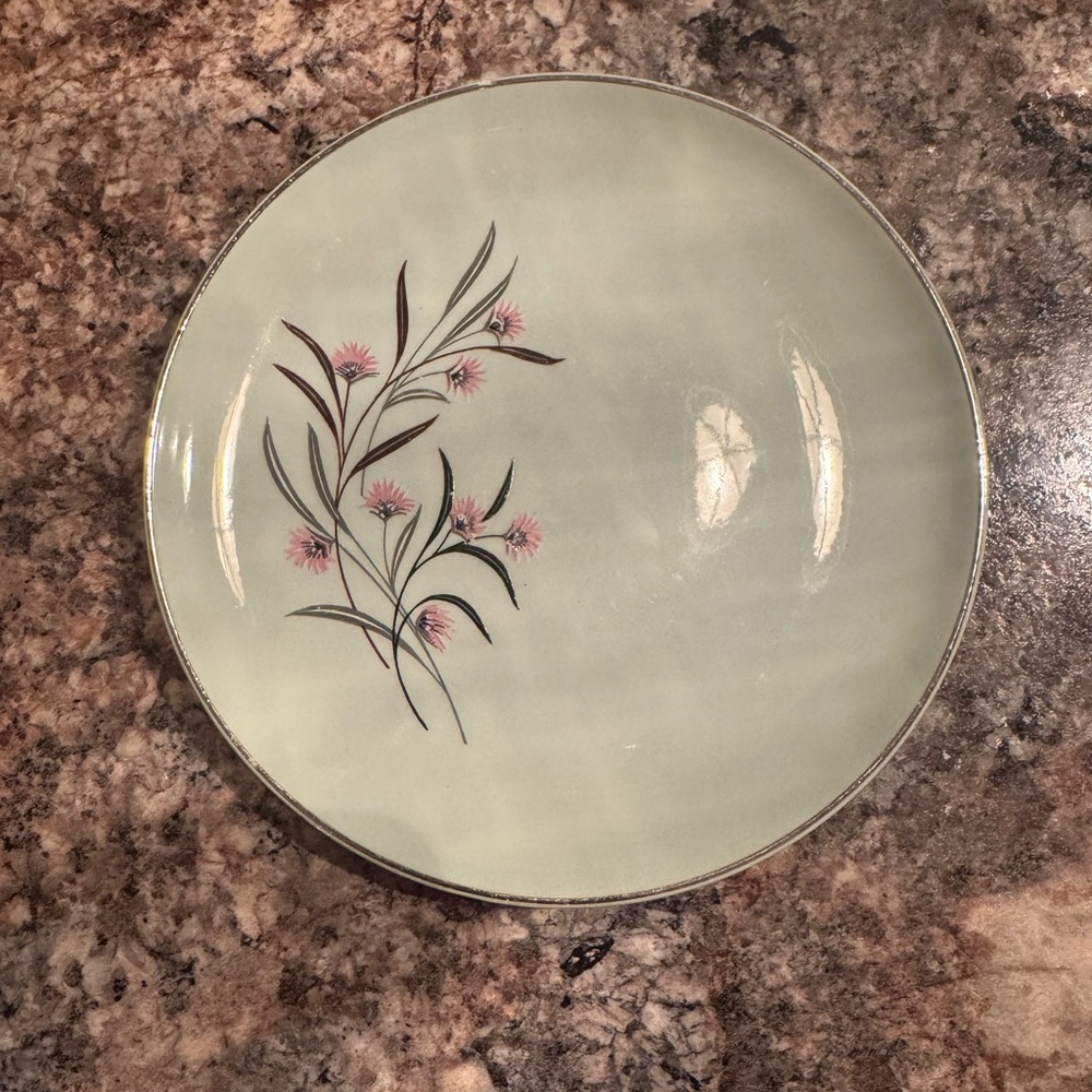 Vintage Universal Pastel Green Dinner Plate with Pink Floral Design